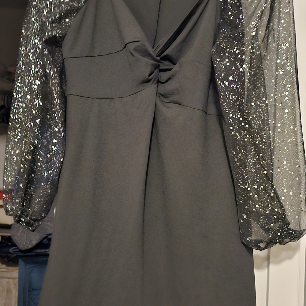 Elegant Black Dress with Sheer Sleeves